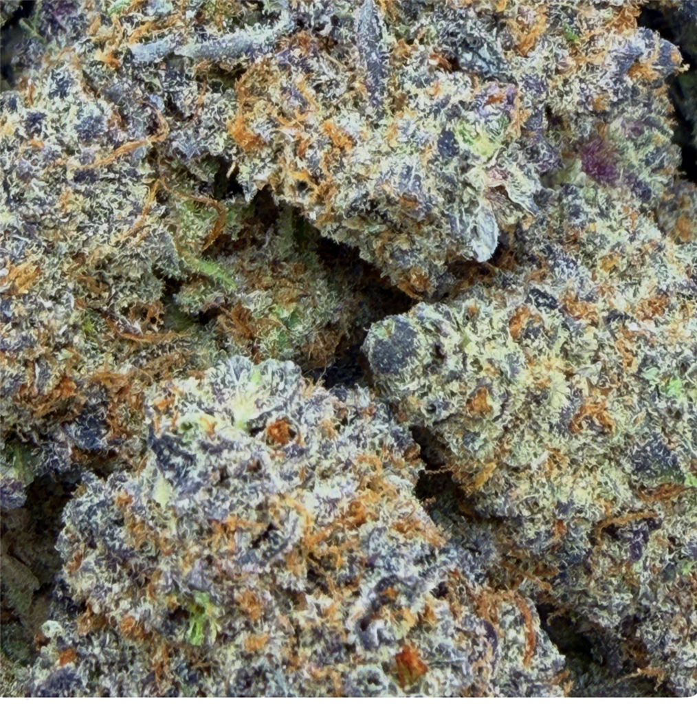 LEMON HEADZ: 38.73%