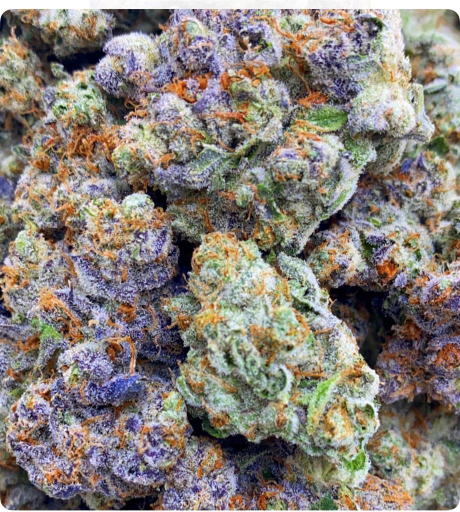 GREASE MONKEY: 36.12%