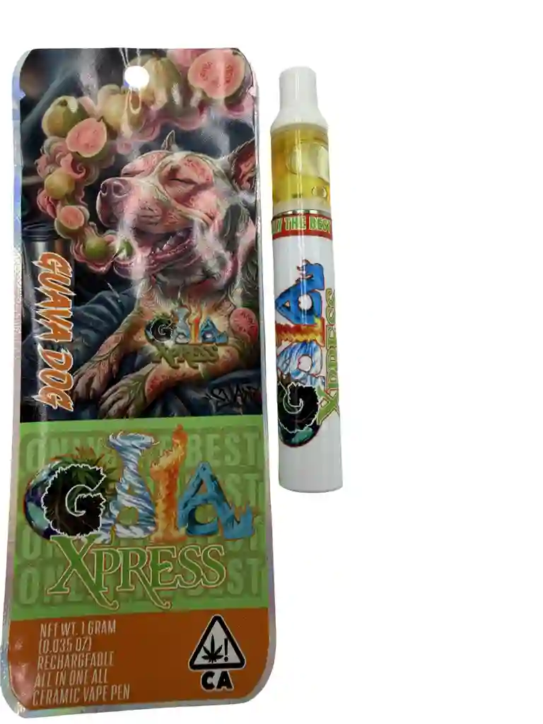 GUAVA DOG: 90.45%