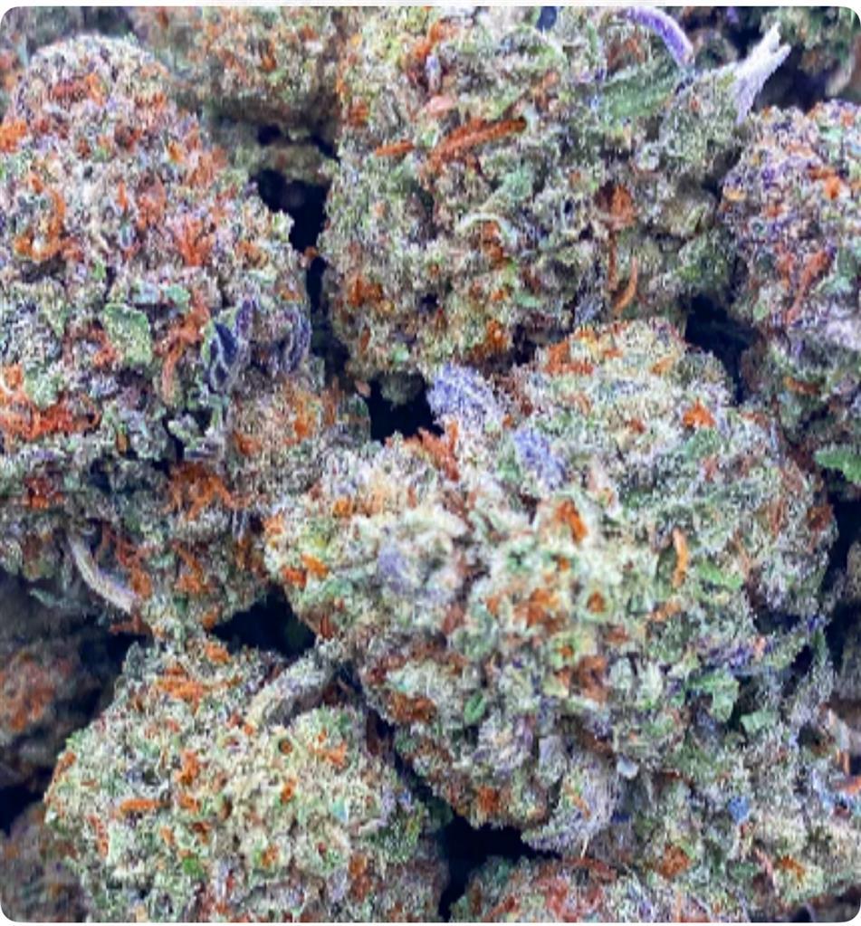 PLATINUM ICE CREAM CA
