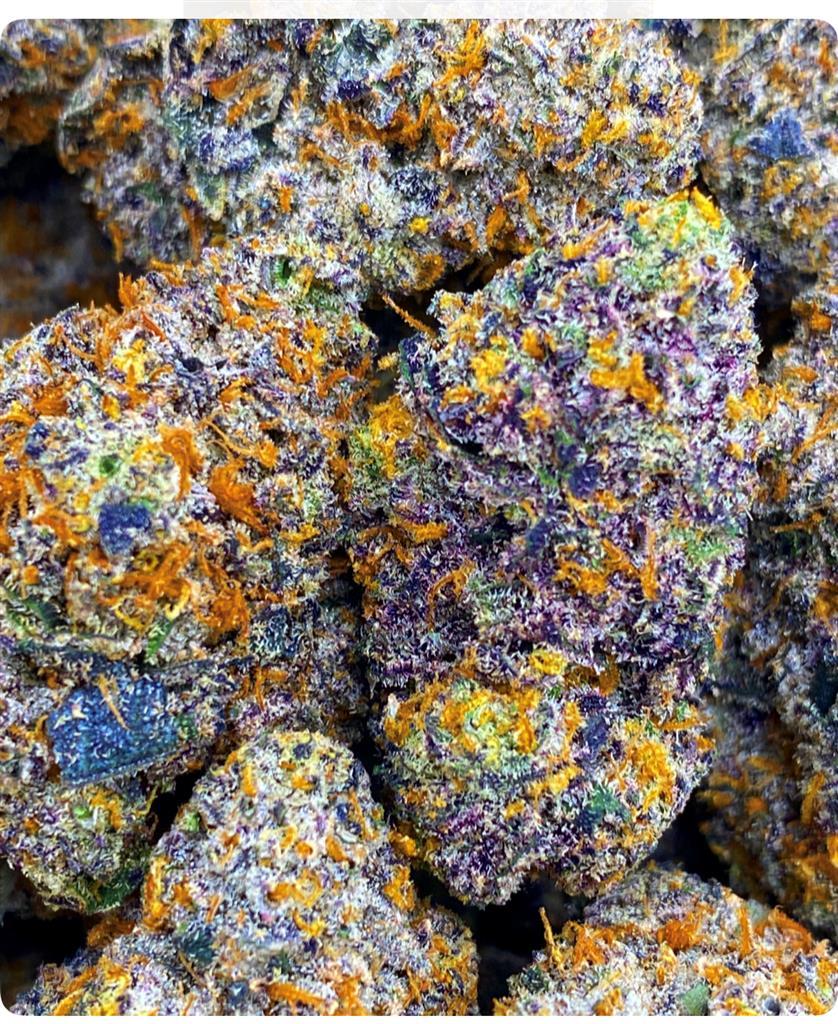 PLATINUM PURPLE CANDY
