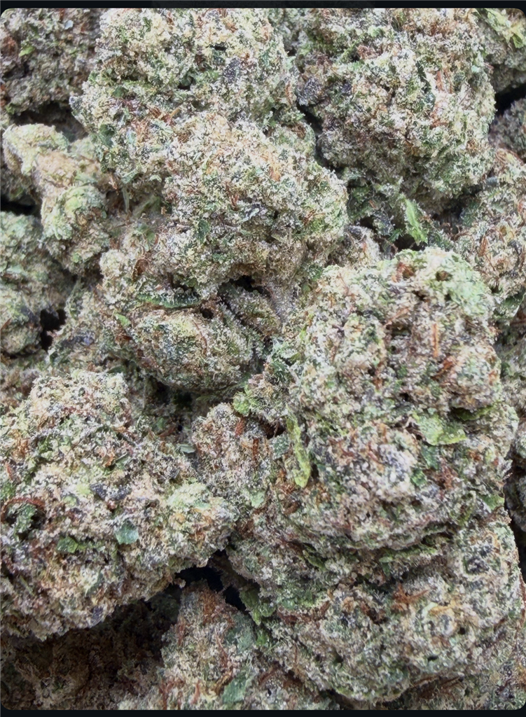 SUPER BOOF X TROPIC CINDY: 38.45%