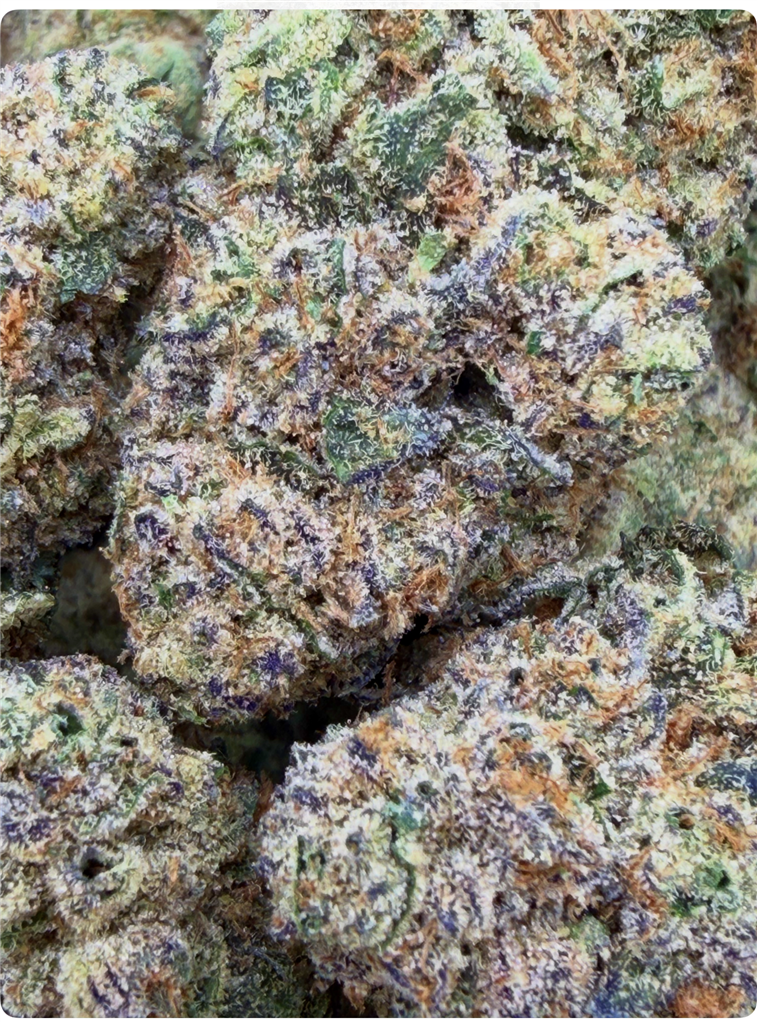 TROPICAL WRECK: 32