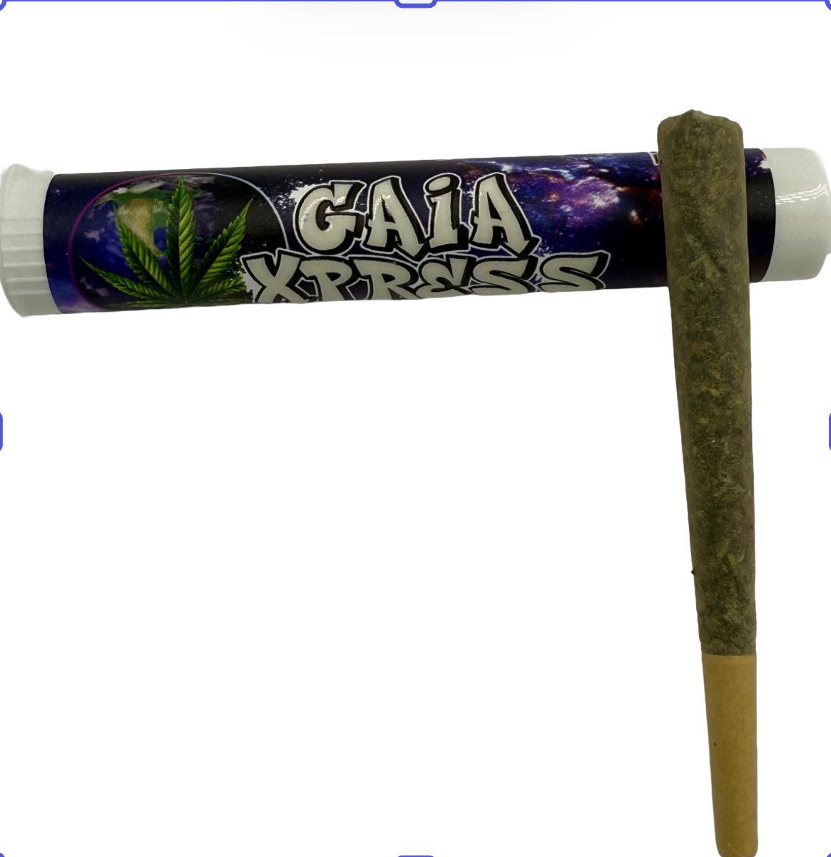 blue cookiePREROLL