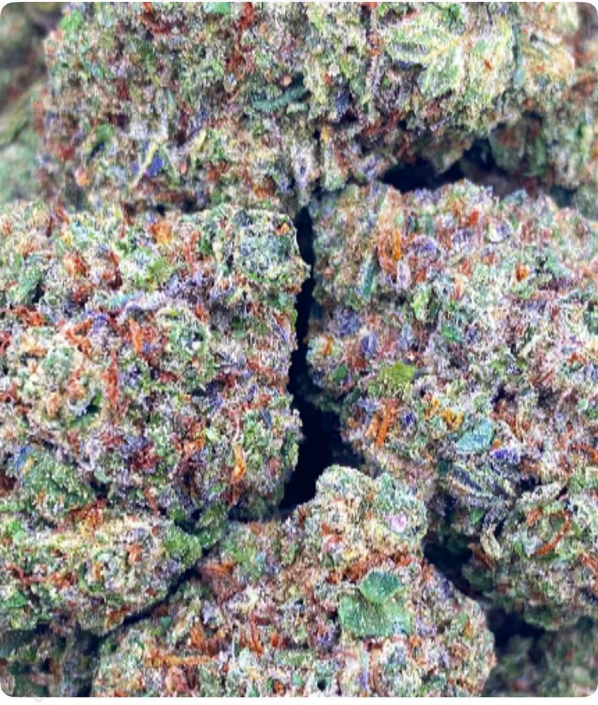 AMNESIA CANDY