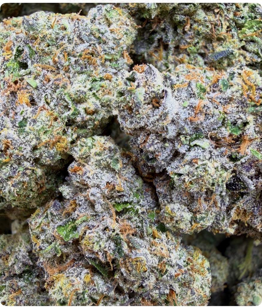 TAHOE COOKIES X GDP COOKIES: 38,52% 
