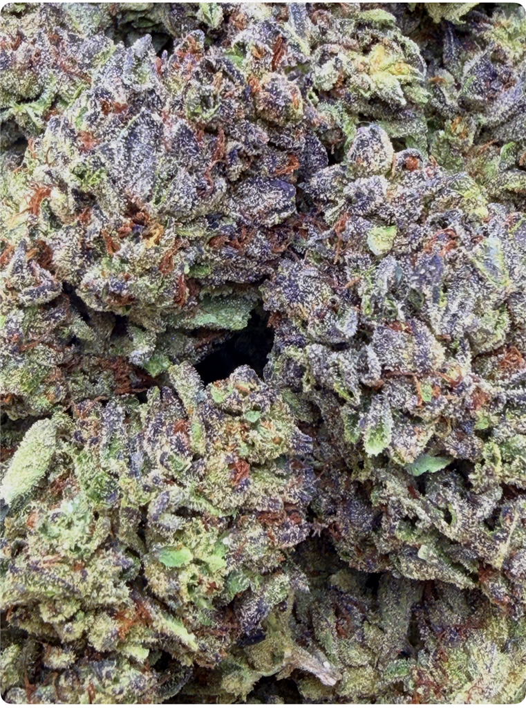 JELLY DONUT: 27.34%