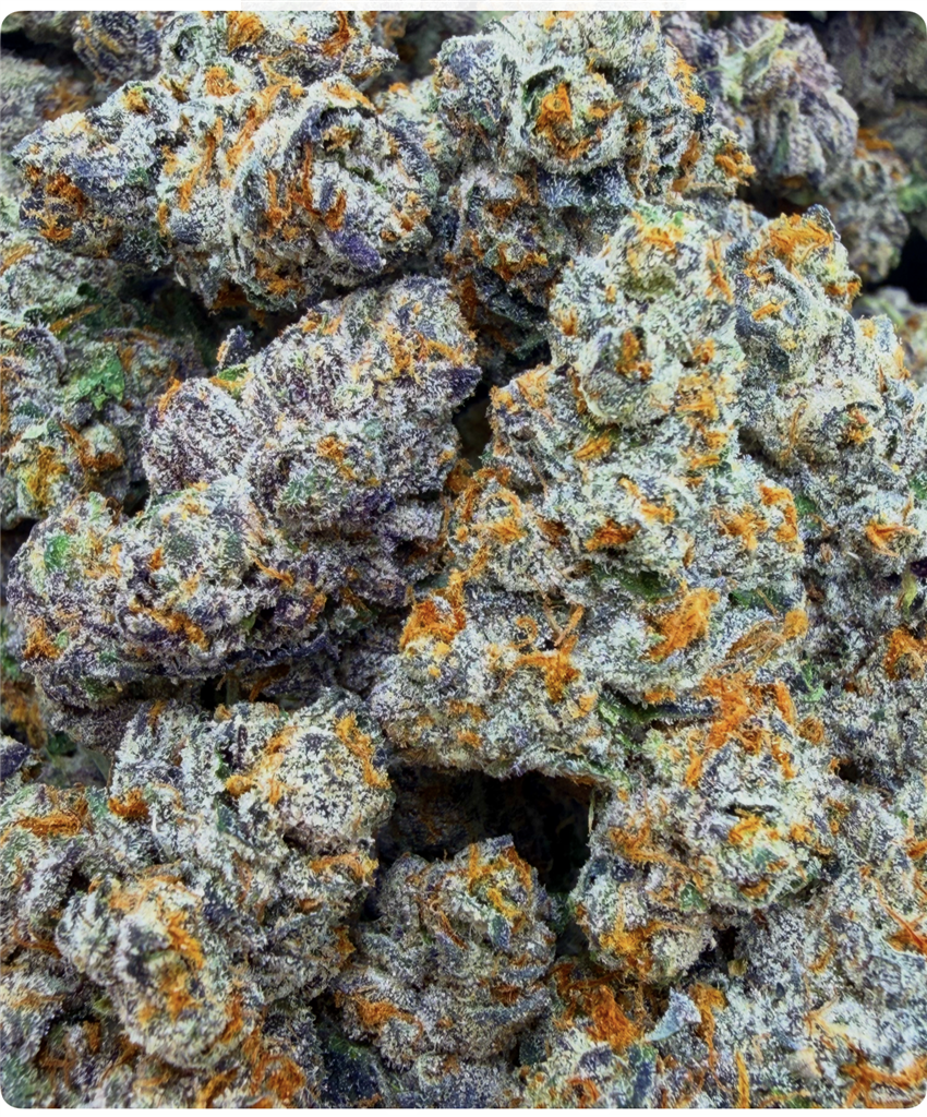 PURPLE GELATO #41: 40.05%
