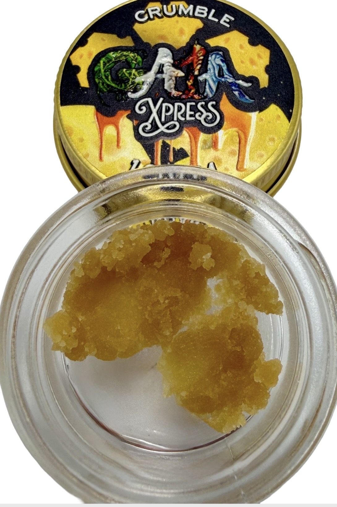 GORILLA BRAINS: 69.89%