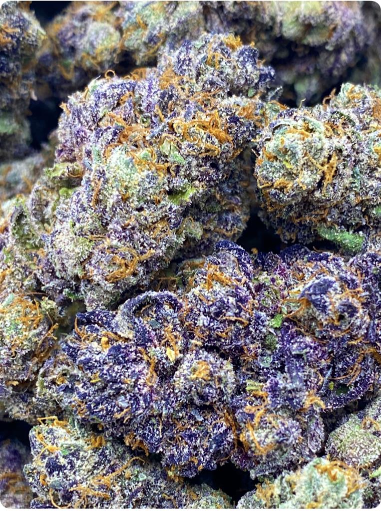 HOOD CANDYZ: 30.81%