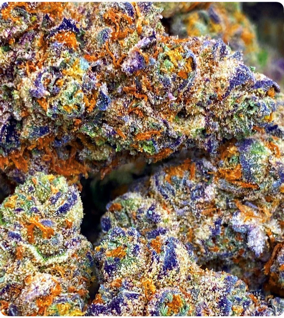 GRAPEHEAD: 41.23%
