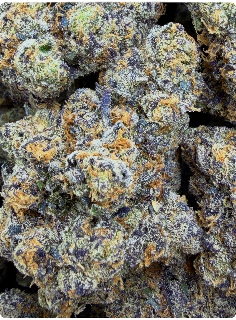 OG PURPLE RUNTZ: 38.92%