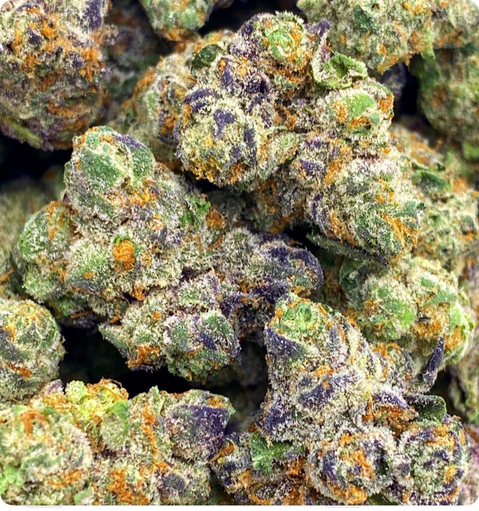 APPLE FRITTER: 34.83%