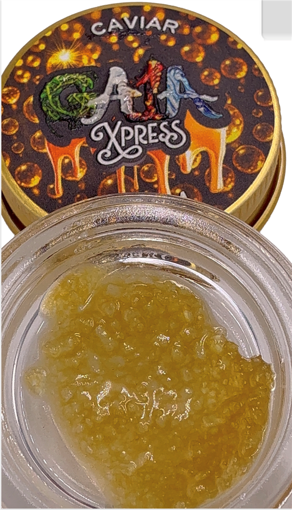 GRAND MA'S GRAPPLE PI