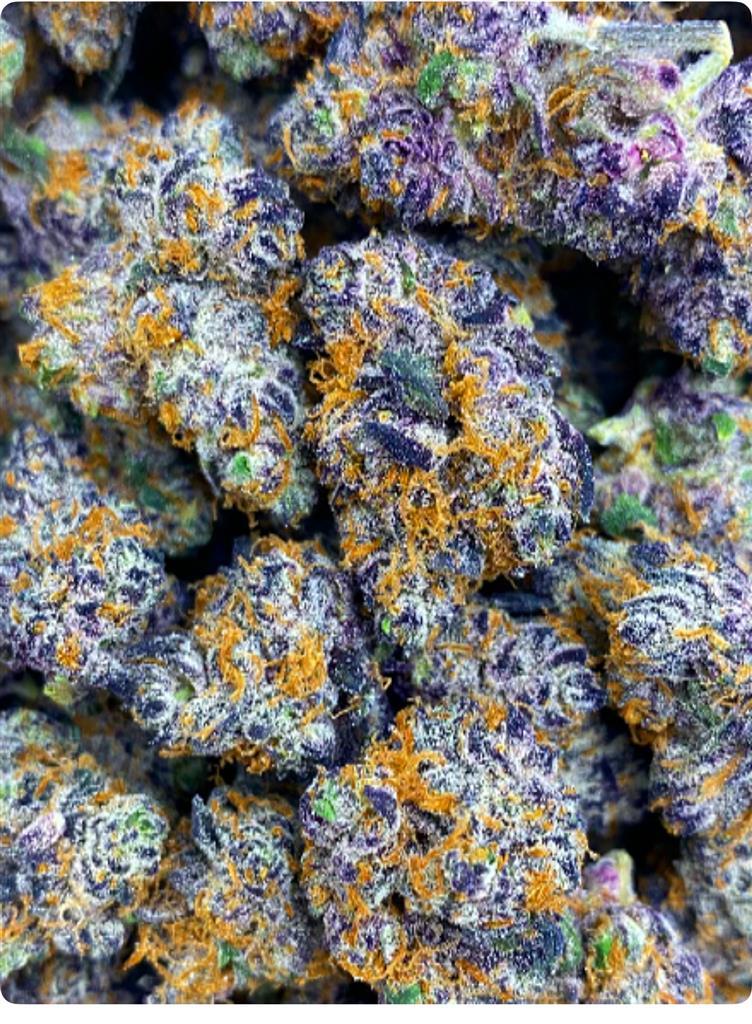 MAGIC PURPLE PETRO: 3
