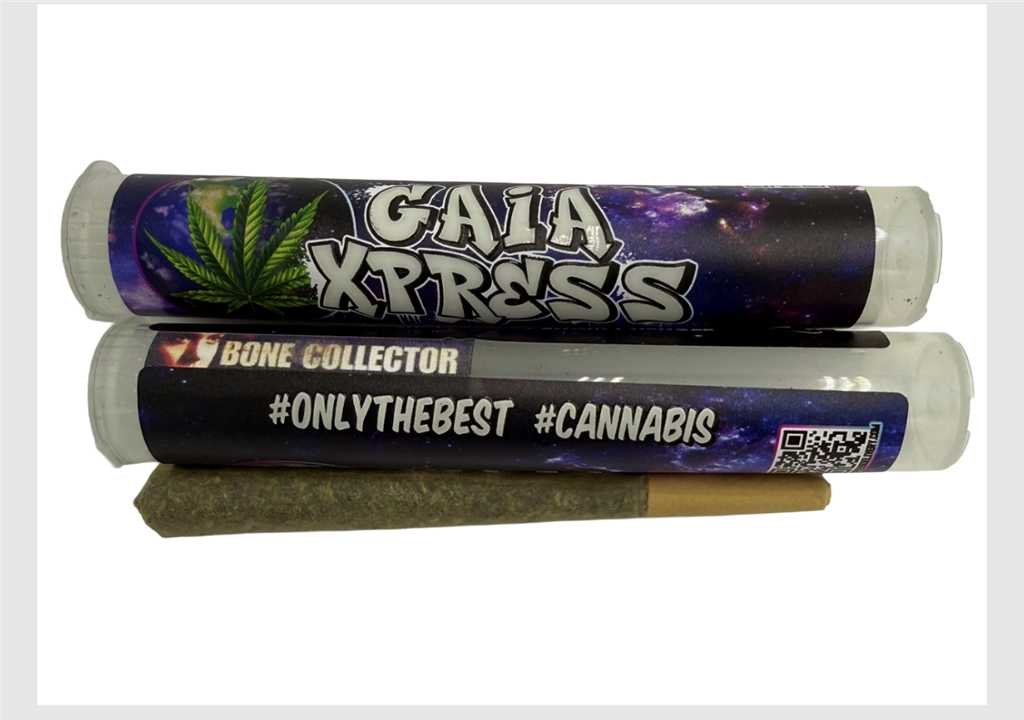 BONE COLLECTOR: 28.41