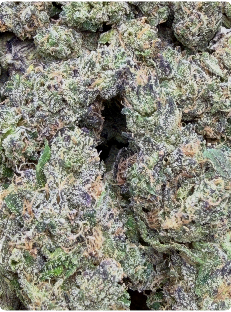 BLUE HEMI: 31.04%