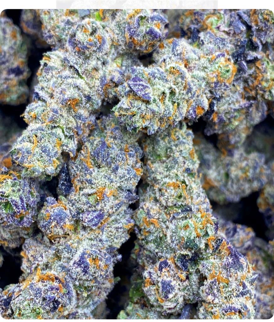 ANIMAL COOKIES: 39.27