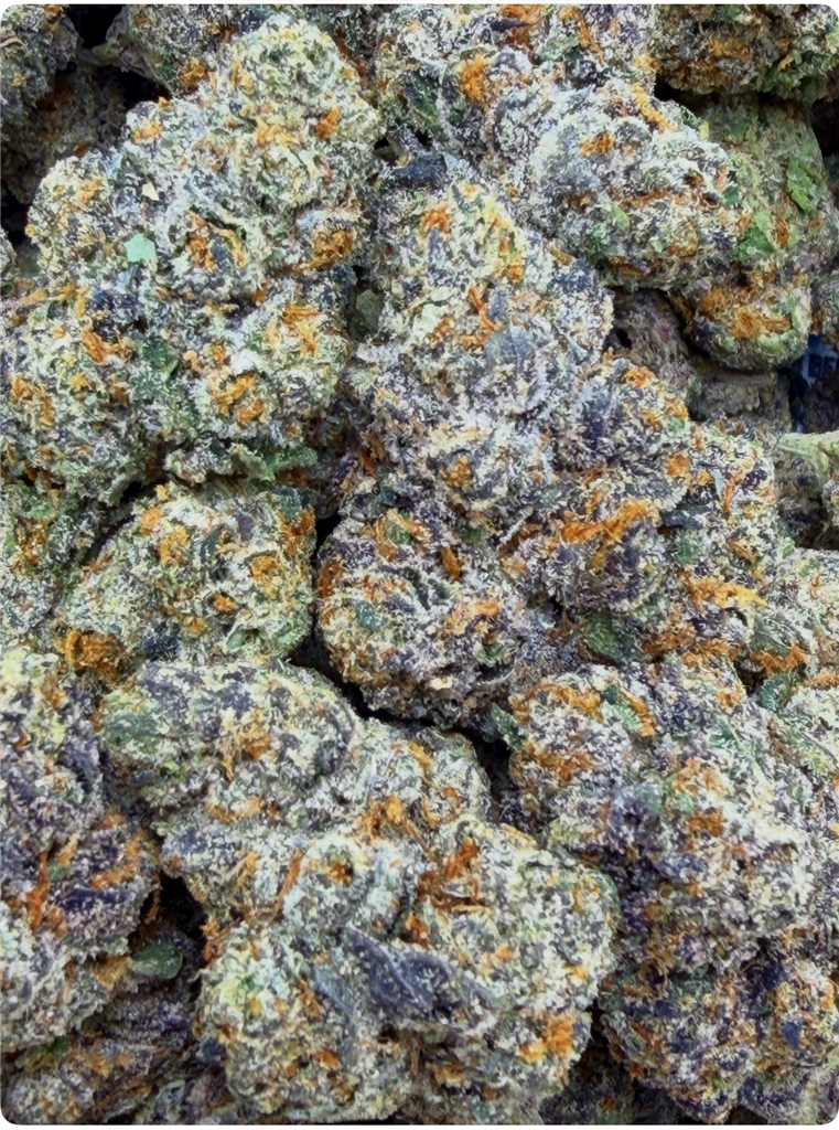 GELATO #41: 37.42%