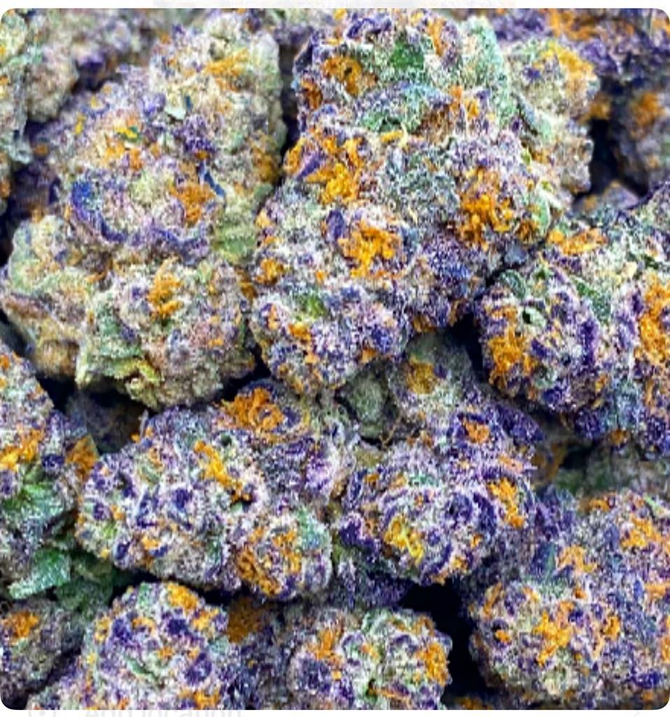 GRAPE GUSHERS: 35.83%