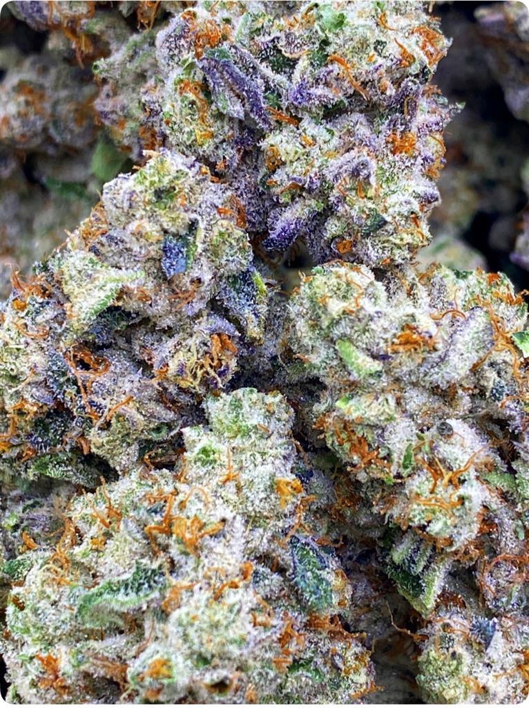 SUPER MAN OG BIG BUDS