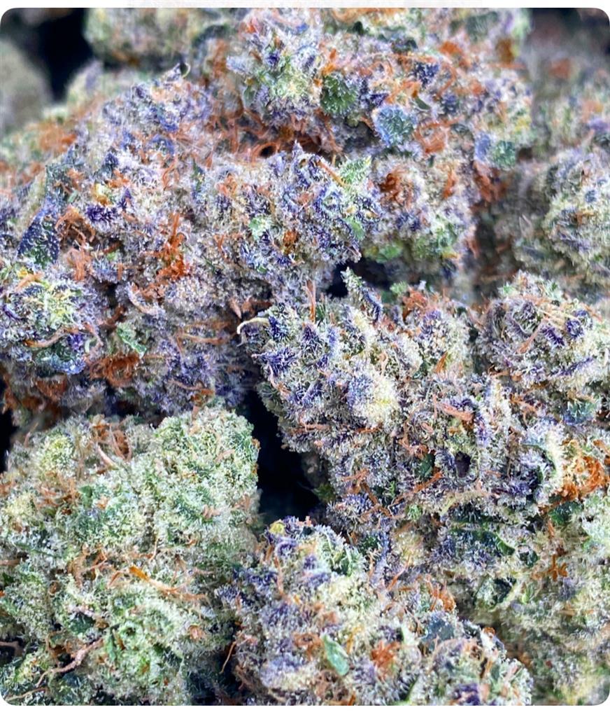 PABLO'S REVENGE: 37.1