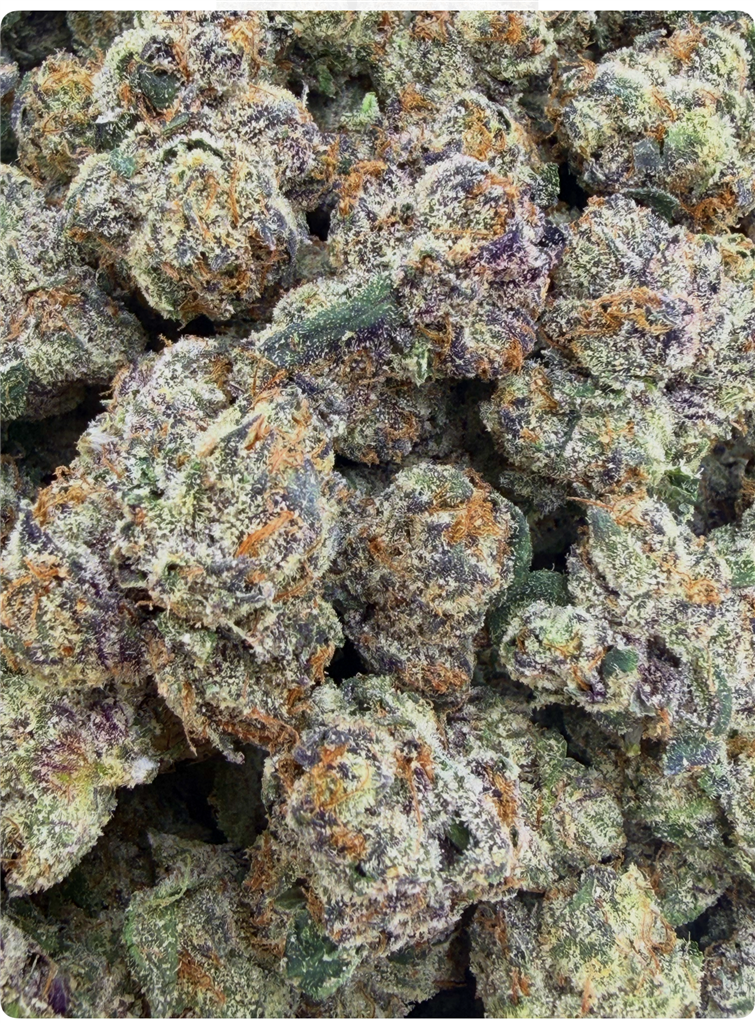 PURPLE PEARLS: b34.93%