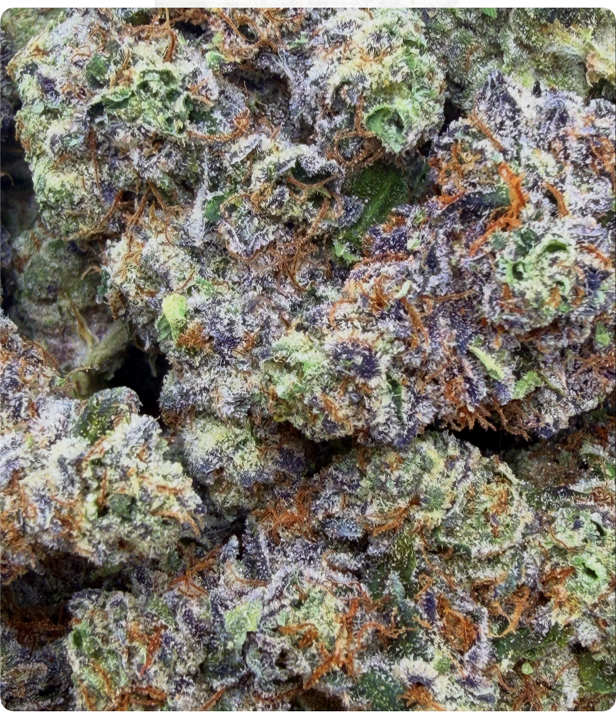 WILD STRAWBERRY GELATO #41: 36.52%