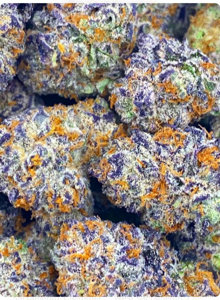 ZOAP X G.D.P: 41.93%