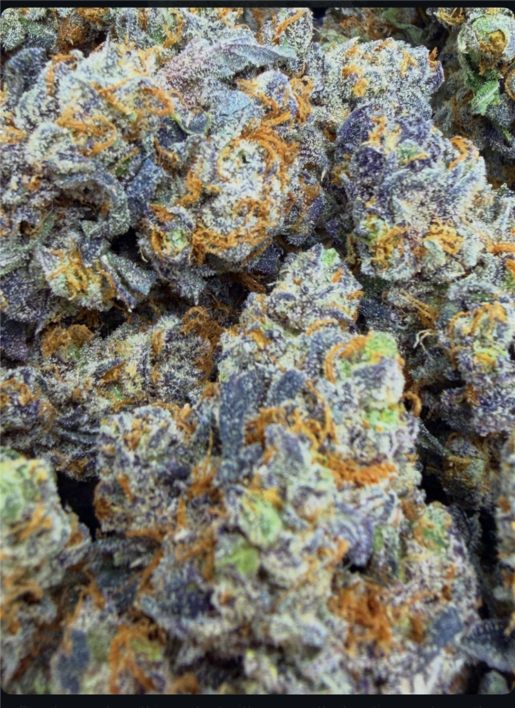 OG MONKEY COOKIES: 36.12%