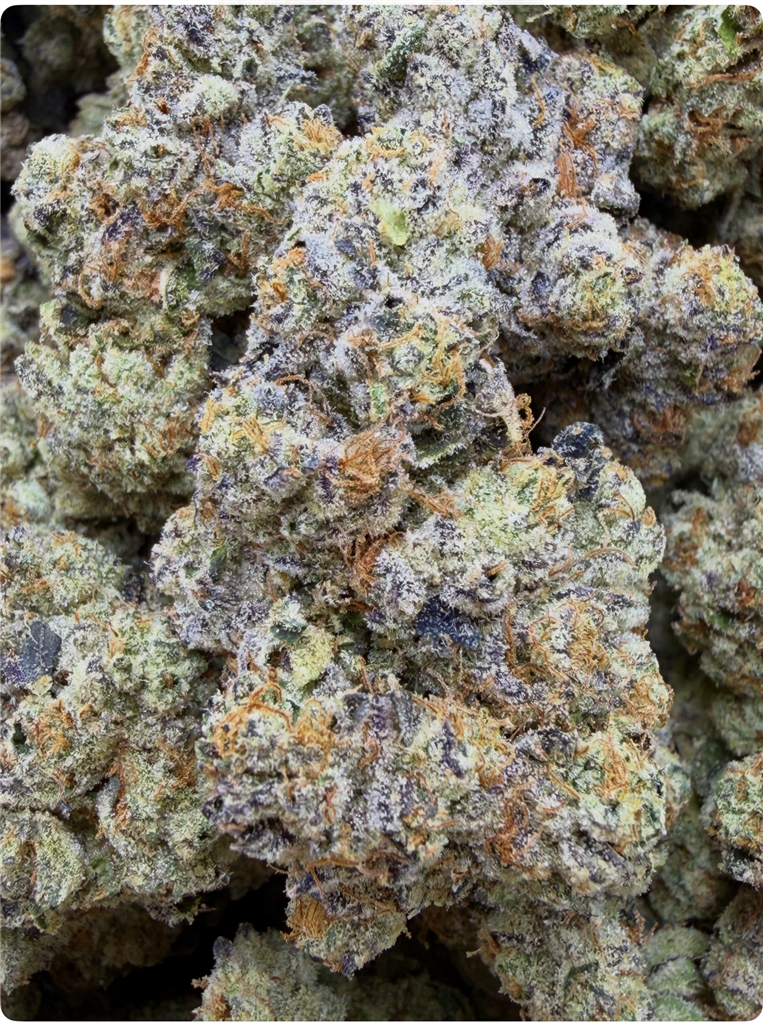 THINMINT COOKEIS X CHEM DAWG: 39.04