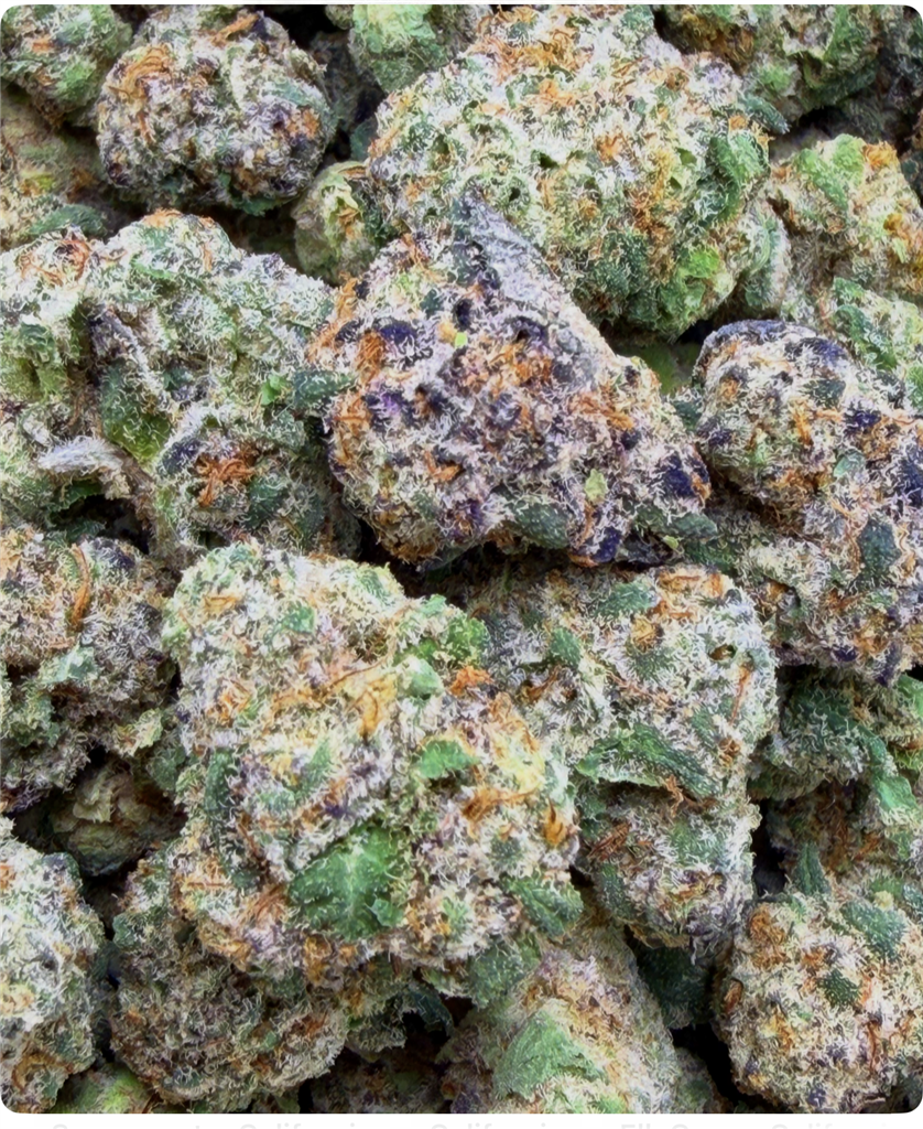 PINEAPPLE ZZZZ: 32.01%