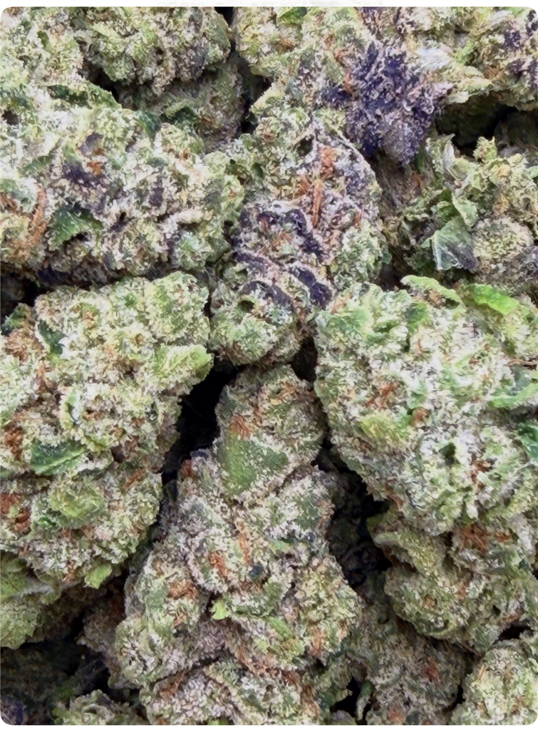 JILLY BEAN 31.22%