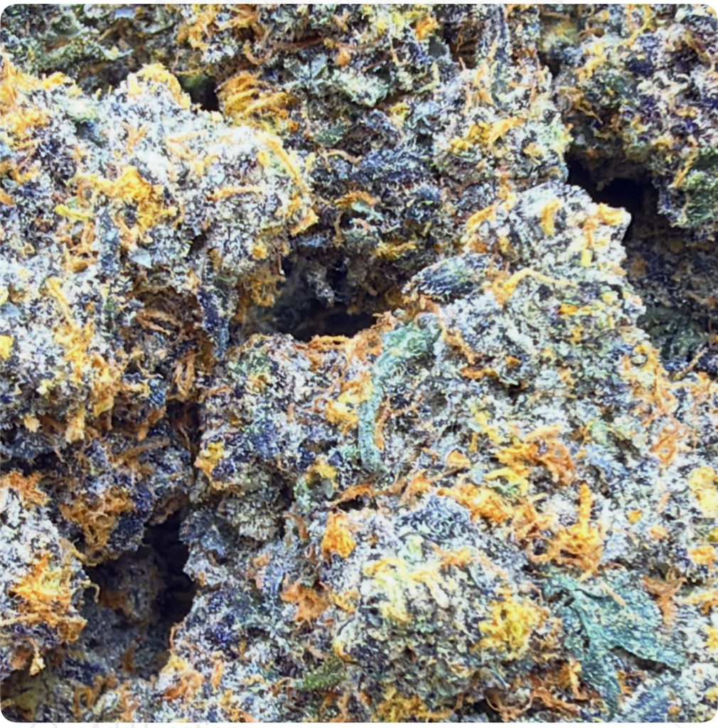 RS-11 THINMINT COOKIES: 34.21%