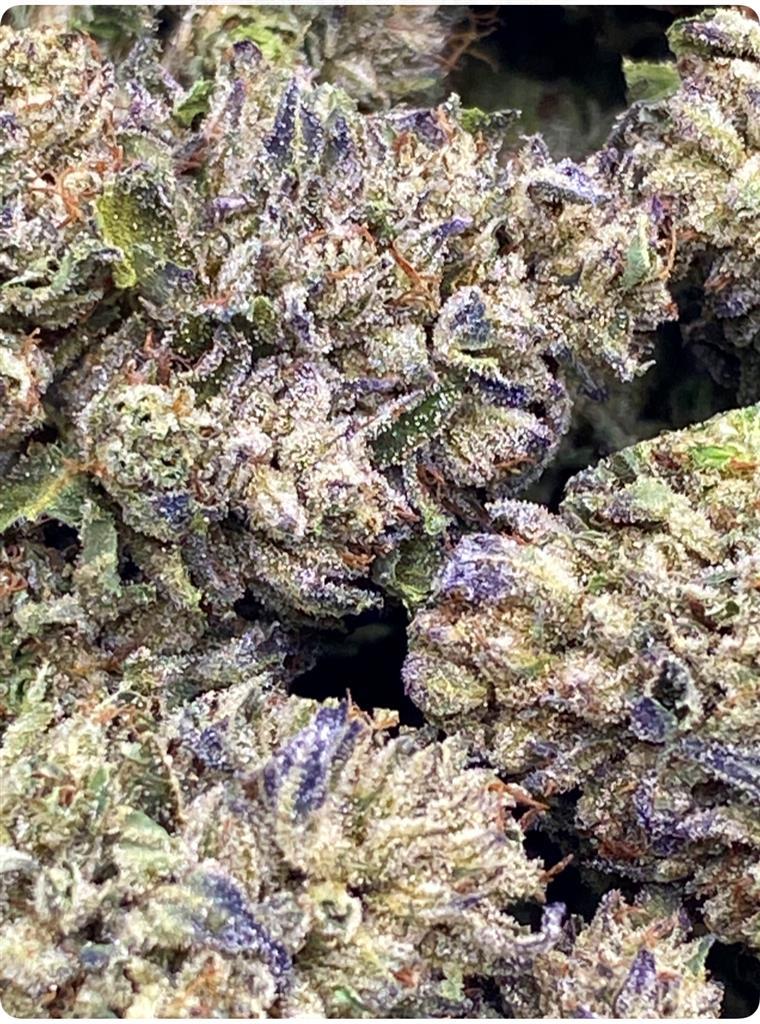 SUPER GLUE X CHEM COO