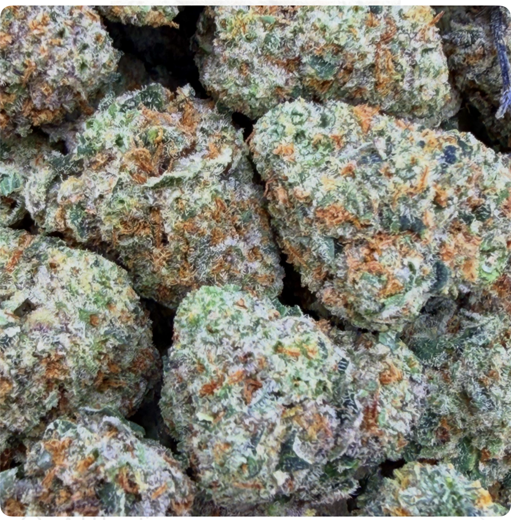 ORANGE GOBLIN: 33.53%