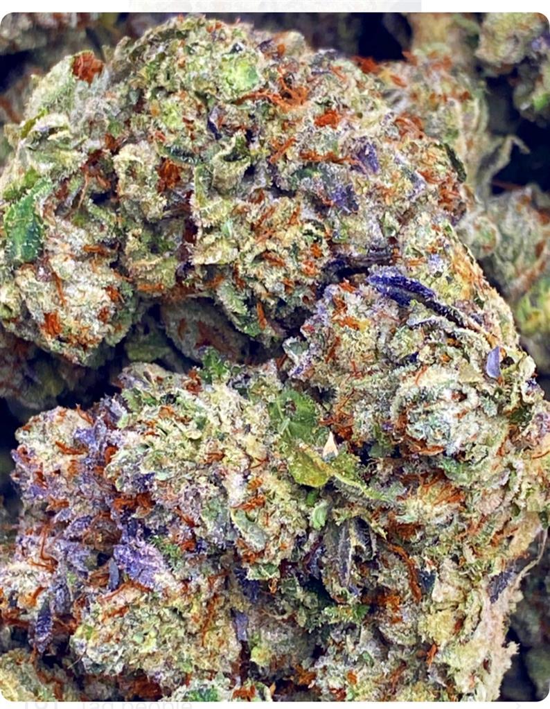 BILLY THE KID: 35.82%