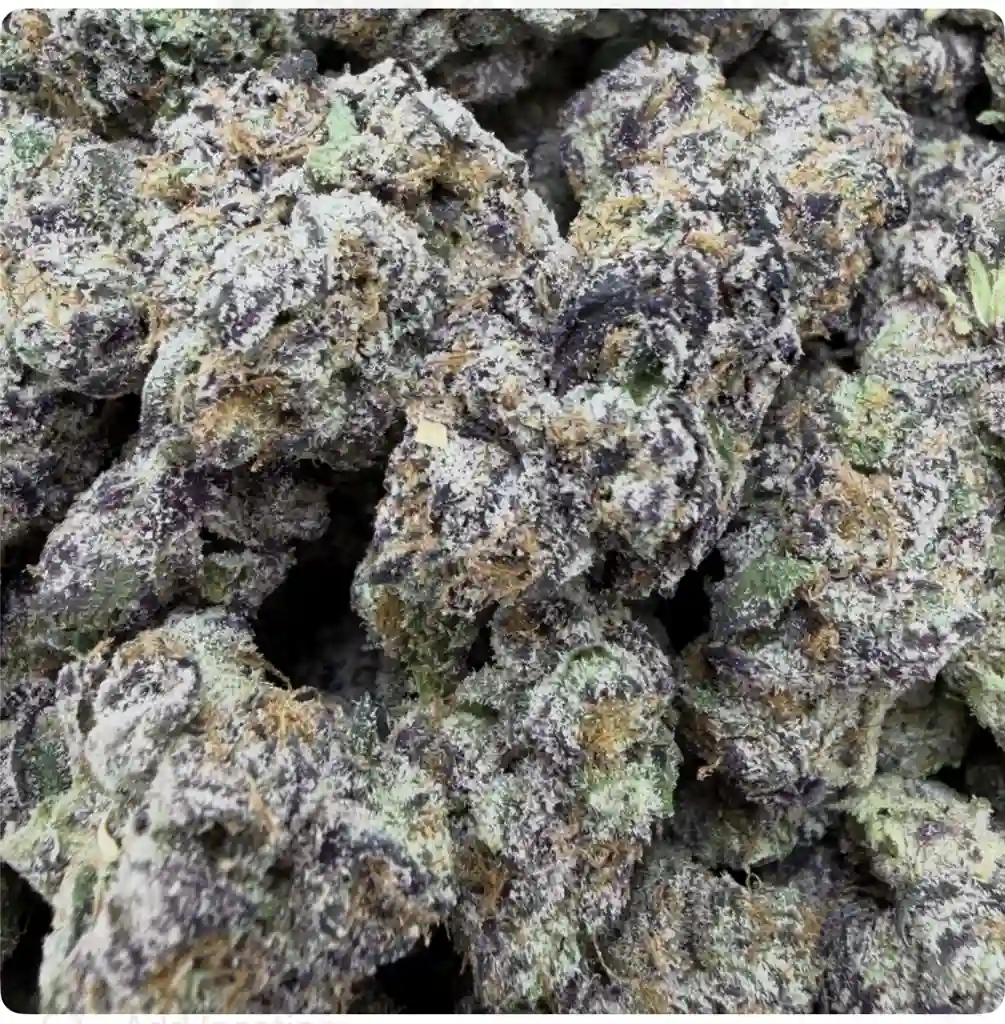 BAZOOKA JOE X KHALIFA KUSH: 33.82%