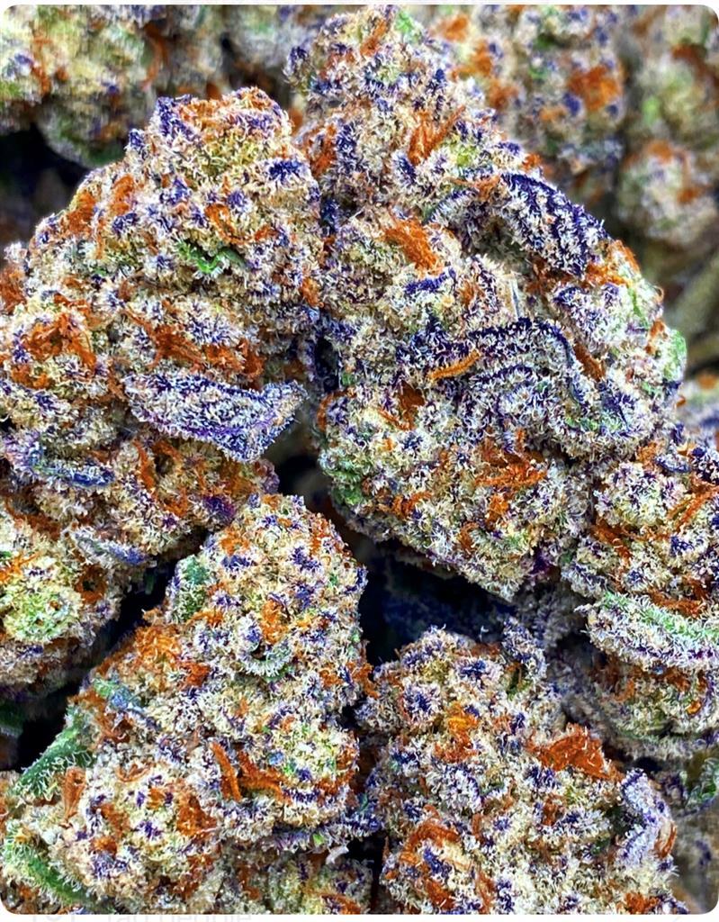 GLITTER BOMB: 38.20%