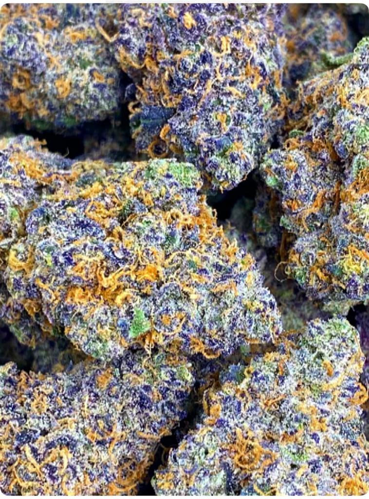 PASSION RUNTZ 36%